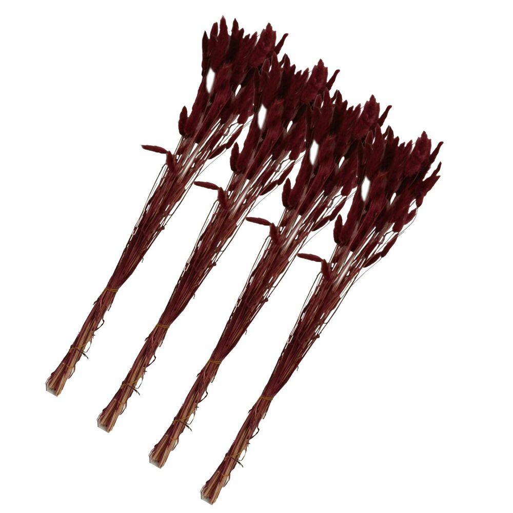 23 in. Red Indoor Non Artificial Dried Bunny Tails Grass Pack of 4 price history on PriceWatchPro