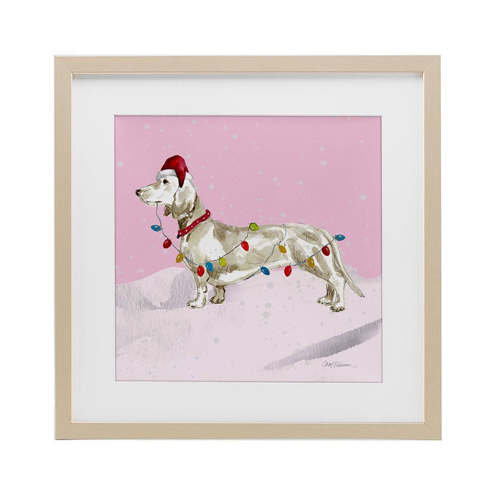 Christmas Lights Dachshund by Carol Robinson 1 Piece Birch Framed Graphic Animal Art Print 16 in. x 16 in. price history on PriceWatchPro