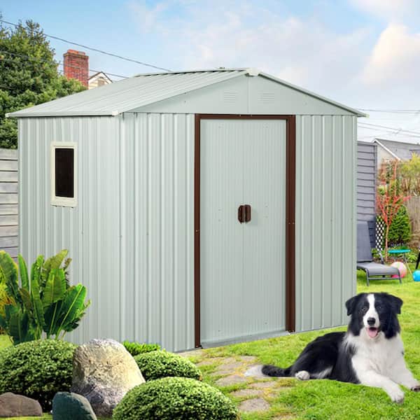 Coporesell 6 ft. x 5 ft. Metal Shed with Window (30 sq. ft.)