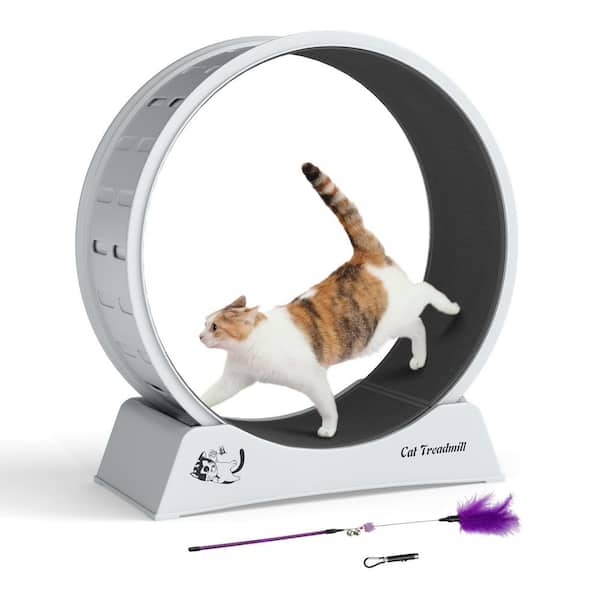 COZIWOW Cat Treadmill Exercise Wheel Lockable, Large