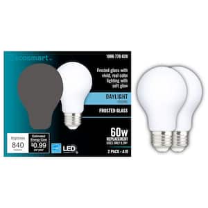 60-Watt Equivalent A19 Dimmable CEC Frosted Glass Filament LED Light Bulb Daylight (2-Pack)