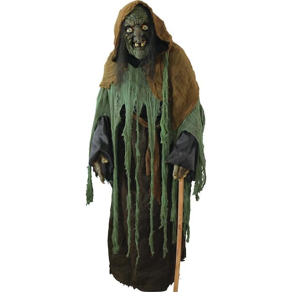 Unbranded Adult Witch Ghoul Costume - Adult Halloween Costume