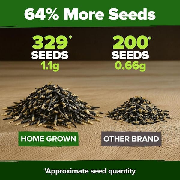 Misopily Marigold Seeds 329+ Flower Seeds for Planting Outdoors Wildflower Non-Organic Seed Tagetes Patula