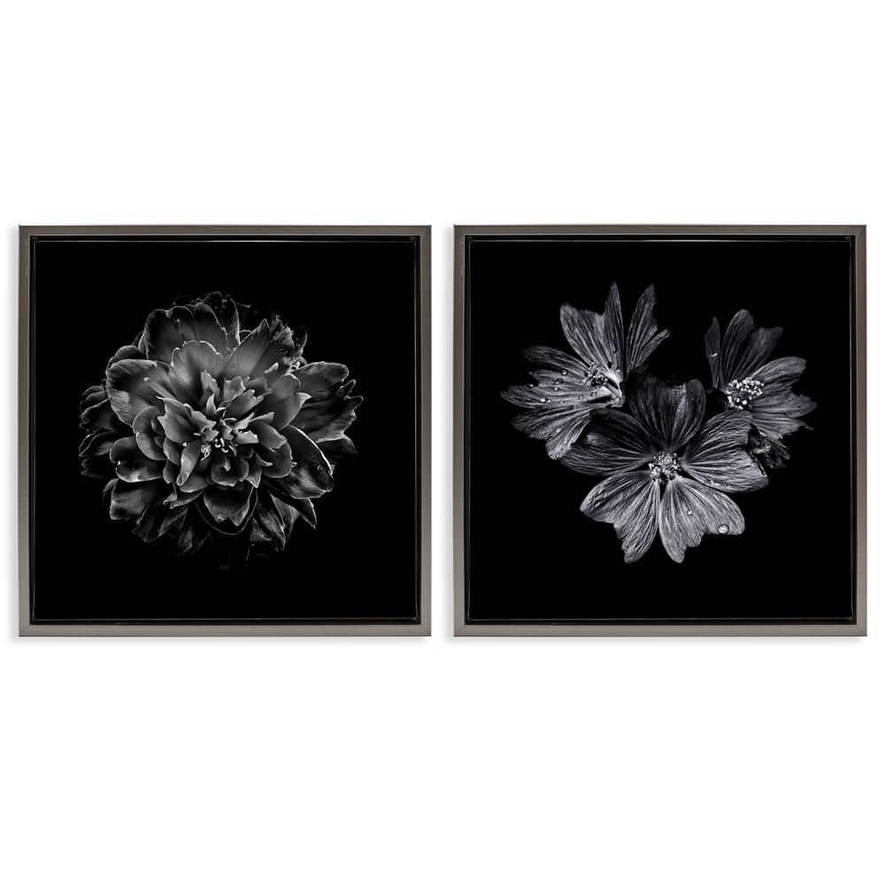 Blossoms with Water Droplets by Brian Carson 2-Pieces Gray Floater Frame Animal Graphic Art Print 18 in. x 18 in. price history on PriceWatchPro