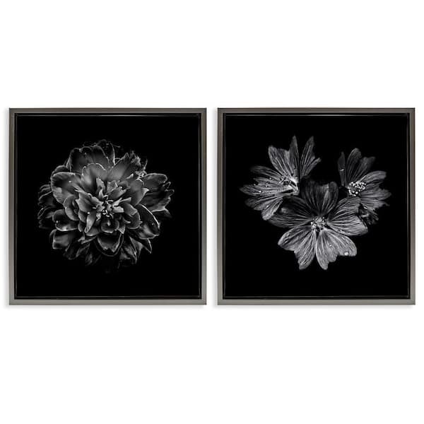 Stupell Industries Blossoms with Water Droplets by Brian Carson 2-Pieces Gray Floater Frame Animal Graphic Art Print 18 in. x 18 in.