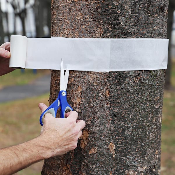 Catchmaster Tree Shield Insect Barrier 8 Roll Pack, White