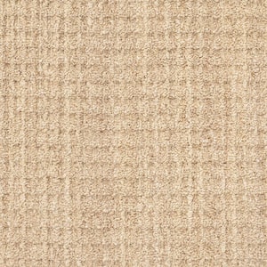 Sicily - Warmth - Beige 15 ft. 46.8 oz. SD Nylon Pattern Installed Carpet