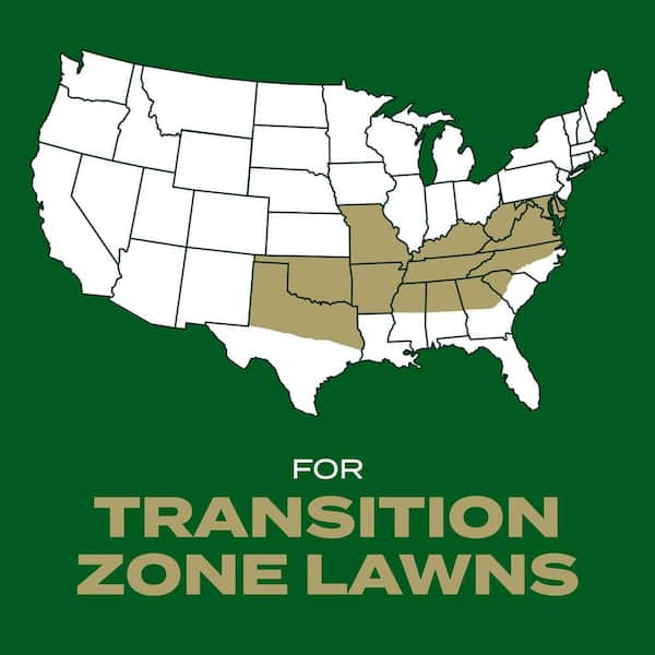 Turf Builder Rapid Grass Southern Gold Blend for Tall Fescue Lawns 5.6 lbs. Combination Seed and Fertilizer