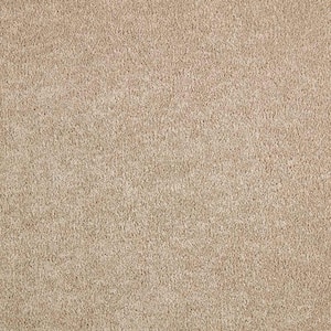 Gemini I - Artisan Hue - Beige 38 oz. Polyester Texture Installed Carpet