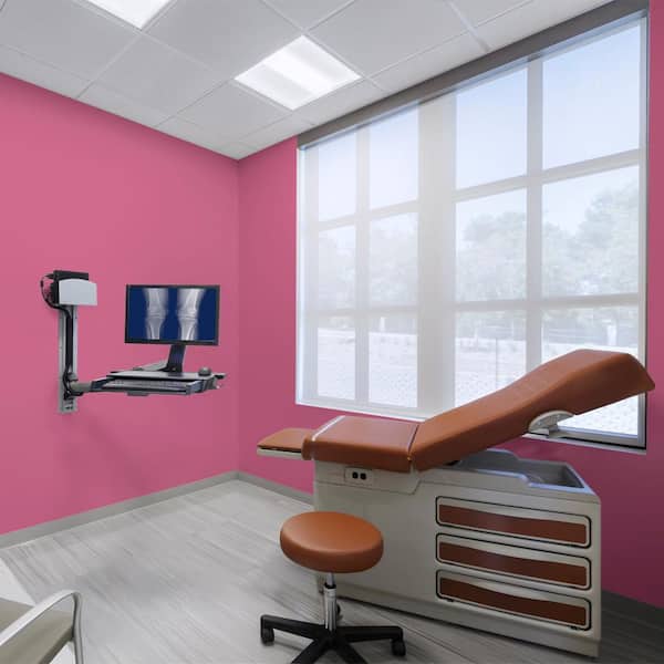 1 gal. #100B-7 Hot Pink Dead Flat Interior Paint
