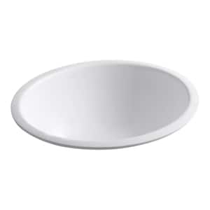 Caxton 19-1/4 in. Oval Vitreous China Undermount Bathroom Sink in White without Overflow Drain