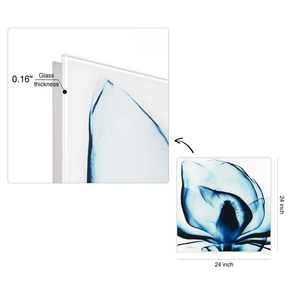 Blue Magnolia X-Ray Unframed Tempered Glass Landscape Wall Art