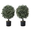 CAPHAUS 2 ft. Artificial Boxwood Topiary Ball Tree with White Flowers ...