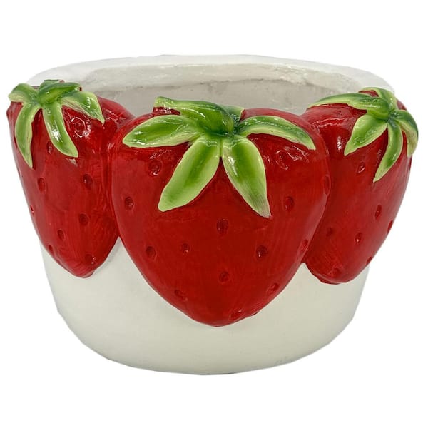 10.8 in. Wide Oval Strawberries Resin Planter