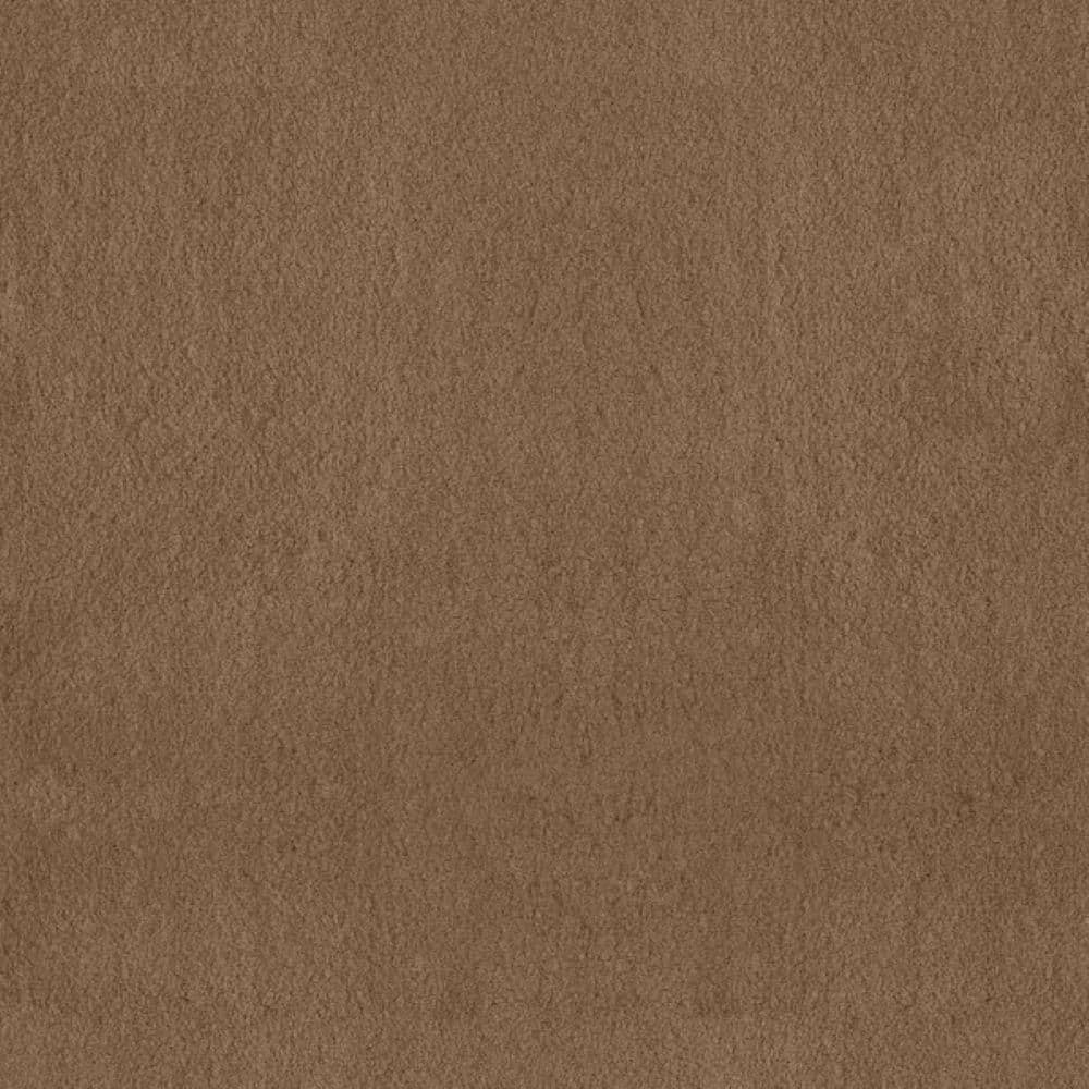 8 in. x 8 in. Texture Carpet Sample-Dreamy Daze I-Color Coffe Bean price history on PriceWatchPro