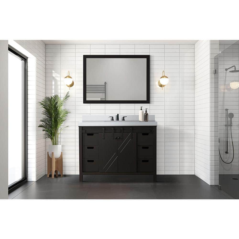 Marsyas 48" Brown Freestanding Vanity Cabinet with Barn Doors