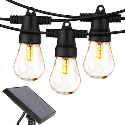 12-Light 27 ft. Outdoor Solar S14 Edison Bulb Ambience Pro LED String Light 2700k