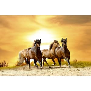 Eclectic Horses in Sunset Abstract Wall Mural
