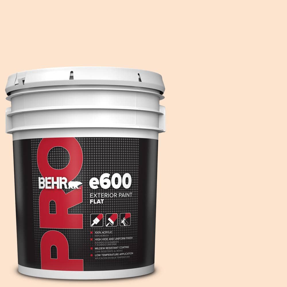 5 gal. #PPL-21 Sweet Peach Exterior Flat Paint price history on PriceWatchPro