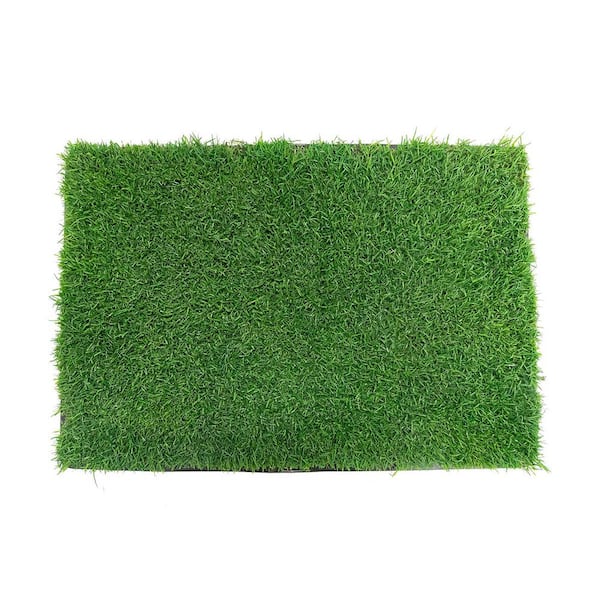 Unbranded Gotta Go Grass Potty Pad Refill Plus Waste Bags Plus Waste Bag Dispenser Plus Toy Ball Plus Squeaky Toy
