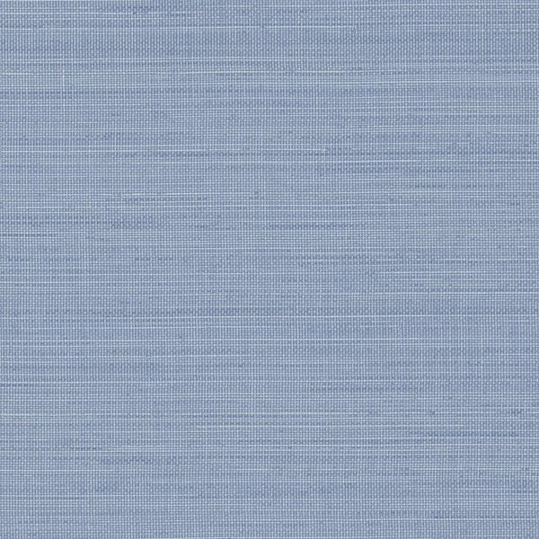 Chesapeake Spinnaker Netting Blue Prepasted Non Woven Wallpaper Sample