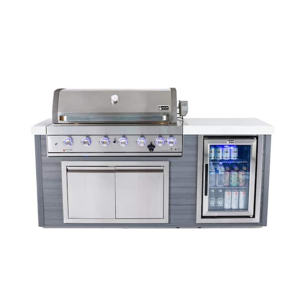 Artwood Series 6-Burner HDPE Outdoor Kitchen Propane Natural Gas Grill Plus Refrigerator in Stainless Steel