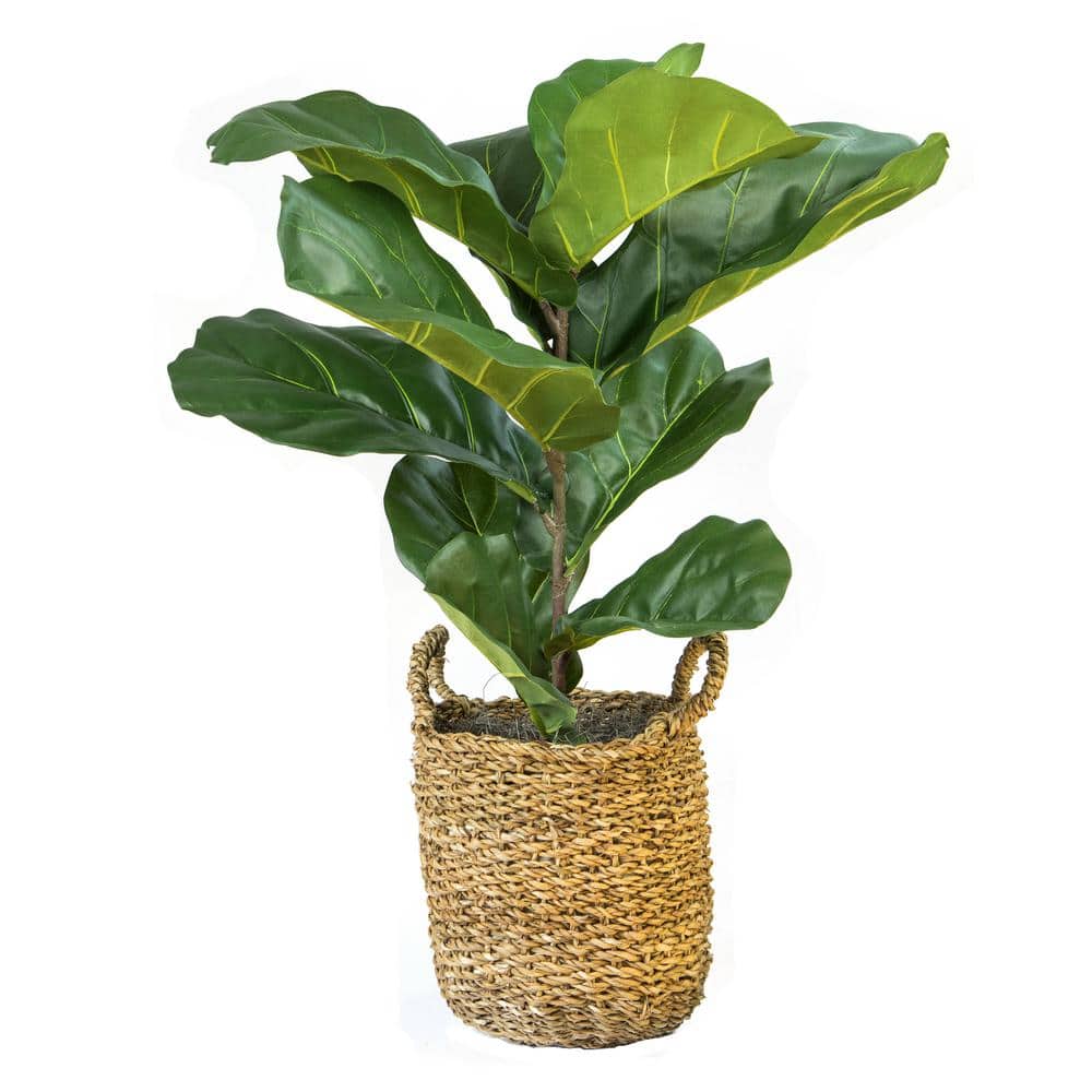 3-foot Artificial Fiddle Leaf Fig Plant in Basket - Brown