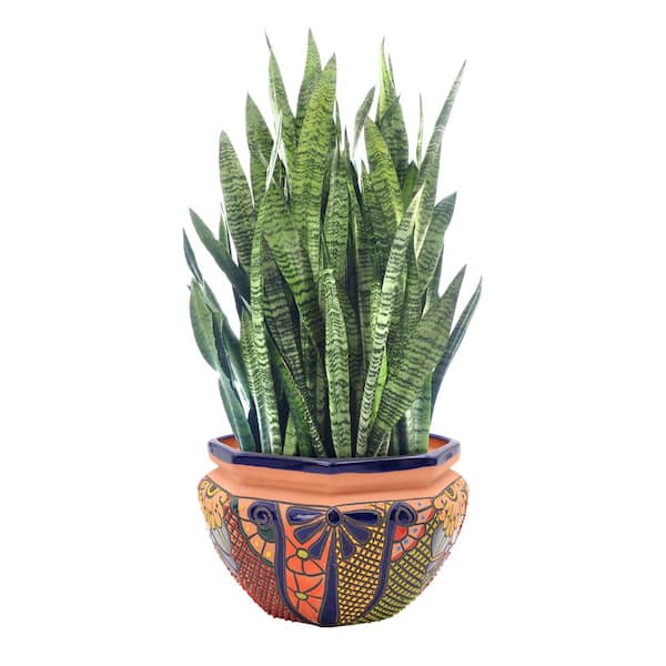 Extra Large Multicolored Talavera Chata Planter