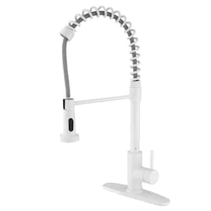 Single Handle Pull Out Sprayer Kitchen Faucet in White Stainless Steel Deckplate Included