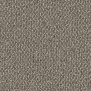 Dark Paradise - Lush - Gray 25 oz. SD Polyester Loop Installed Carpet