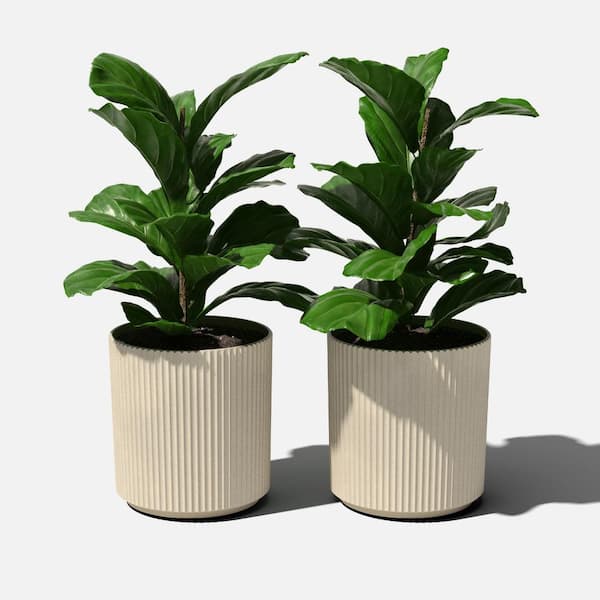 Demi 20 in. Round Sand Plastic Planter (2 Pack)