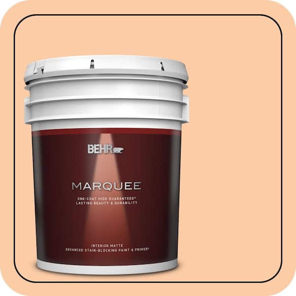 BEHR MARQUEE 5 gal. #270C-3 Coral Confection Matte Interior Paint & Primer