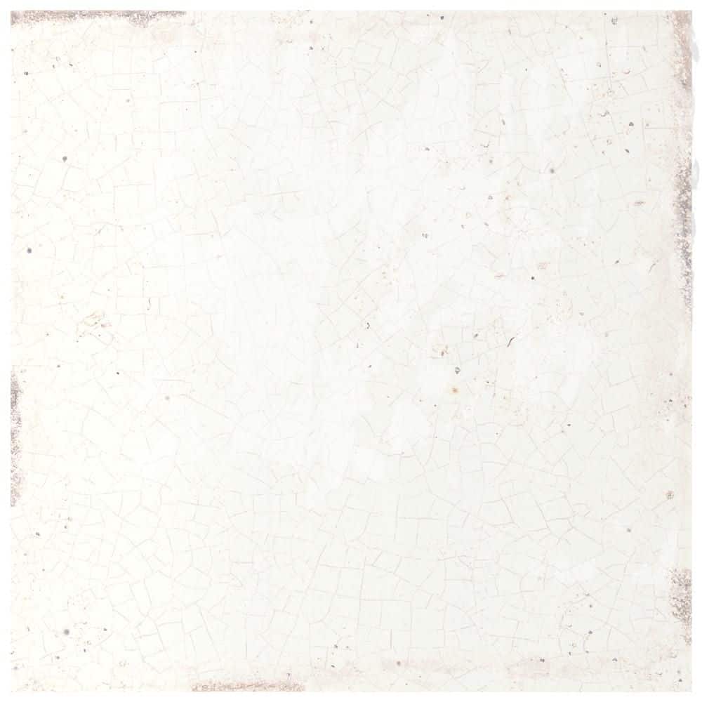 Mayolica White 6 in. x 6 in. Ceramic Wall Take Home Tile Sample price history on PriceWatchPro