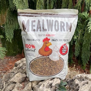 30 Oz Poultry Protein-Rich Snack from Whole-Dried Mealworms 100% Natural - No Additives or Preservatives (3-Pack)