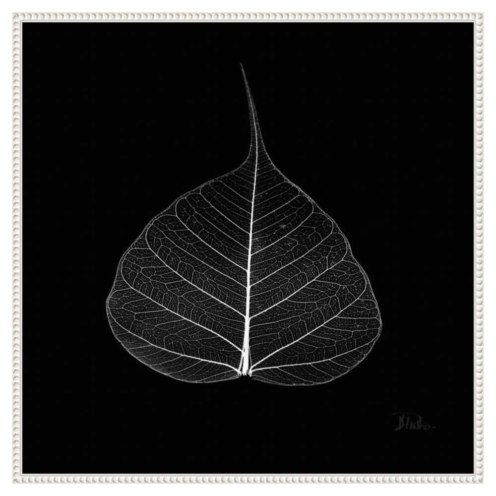 Minimalist Black and White Leaf Canvas with Beaded Frame