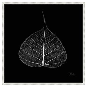 "Minimalist Leaf on Black I" by Patricia Pinto 1-Piece Floater Frame Giclee Home Canvas Art Print 30 in. x 30 in.