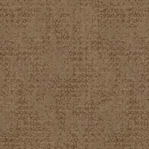 Elegant Dosinia - Pony Tail - Brown 48.8 oz. Nylon Pattern Installed Carpet