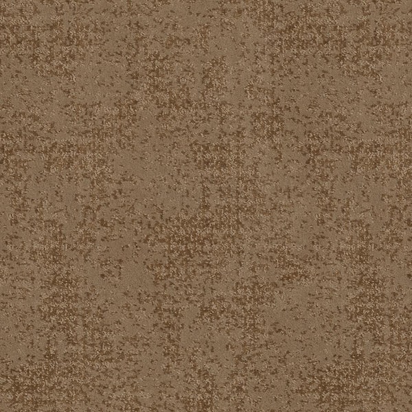 Shaw Elegant Dosinia - Pony Tail - Brown 48.8 oz. Nylon Pattern Installed Carpet