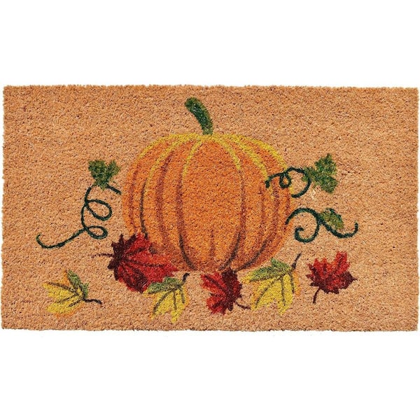 Multi-Colored 29 in. x 17 in. Coir Non-Slip Indoor / Outdoor Door Mat