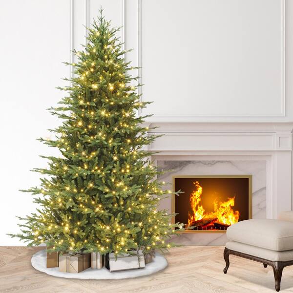 ツリー Puleo International 7.5 ft. Prelit Dorchester Fir Artificial
