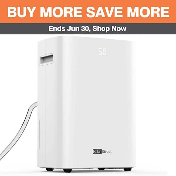 100 pt. 5500 sq. ft. Dehumidifier for Basement in White, w/6.5L Tank, Drain Hose for Garage, Child Lock, Quiet Drying