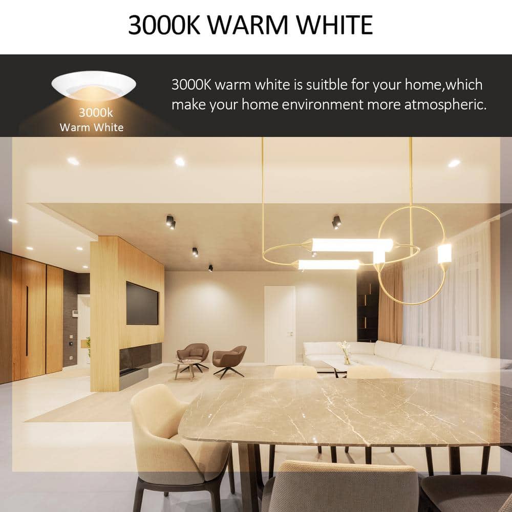 White Round Dimmable LED Flush Mount Disk Light