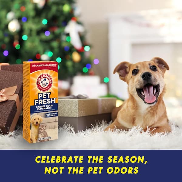 30 oz. Carpet and Room Pet Fresh Odor Eliminator