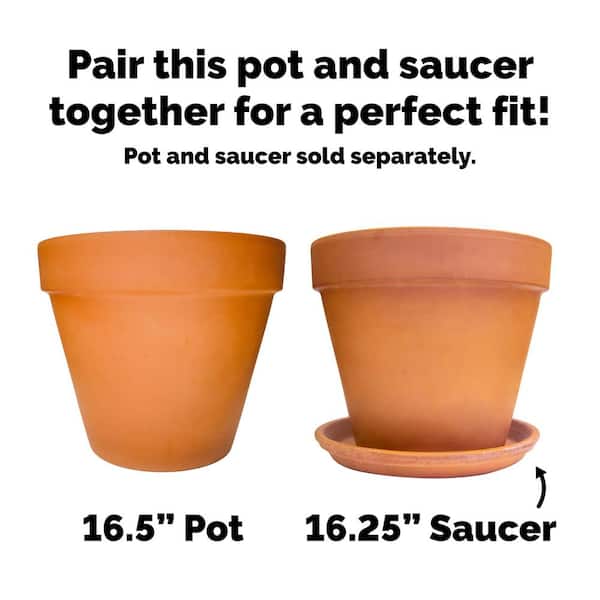 Vigoro 16 in. Large Terra Cotta Clay Saucer 100519847
