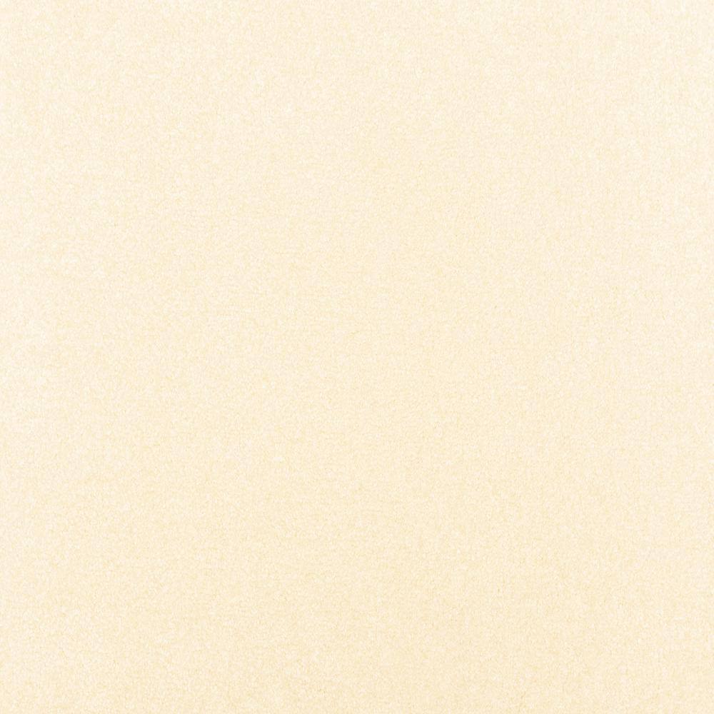 8 in. x 8 in. Texture Carpet Sample - Waking Up II - Color Daybreak price history on PriceWatchPro