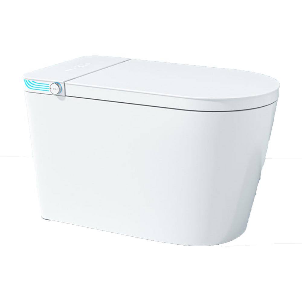 LORDEAR One-Piece 1.28 GPF Dual Flush Elongated Smart Bidet Toilet in ...