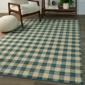 Rogers Blue 5 ft. x 7 ft. Gingham Area Rug