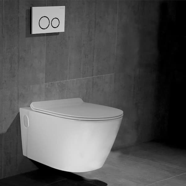 Eviva Storm 12 In Rough In 1 Piece 1 28 Gpf Dual Flush Elongated Toilet In White Seat Included Evtl914 The Home Depot