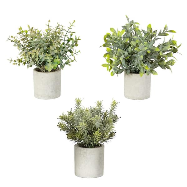 8 in. Green Artificial Mini Eucalyptus Potted Plants - Set of 3