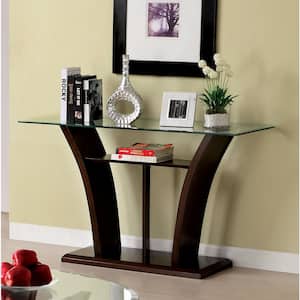 Ali 50 in. Dark Cherry Standard Rectangle Glass Console Table with Storage